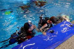 PA165462m