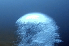 1697389064072-728714143