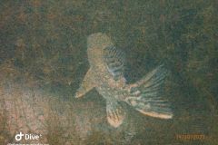 IMG-20231014-WA0018