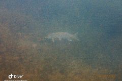 IMG-20231014-WA0019