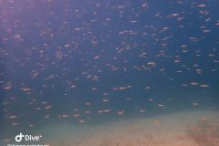 IMG-20231014-WA0029
