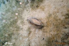 IMG-20231014-WA0030