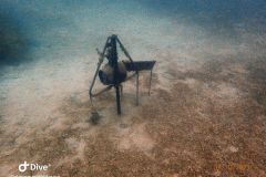 IMG-20231014-WA0031