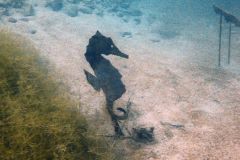 IMG-20231014-WA0033
