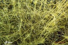 IMG-20231014-WA0034