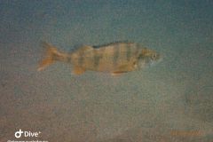 IMG-20231014-WA0045