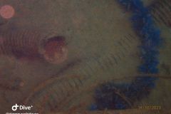 IMG-20231014-WA0052