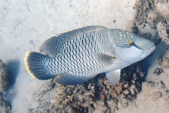 17469085851972073649607m