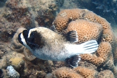 1746908693074474987185m