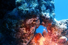 1746909206493-1662239932