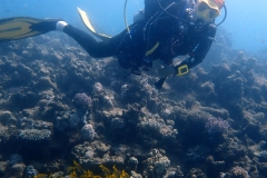 1746910335852819143024