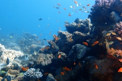 1746910341526436600442