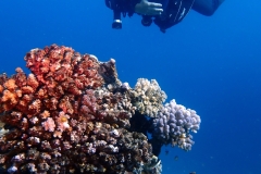 1746947332532-1704227359