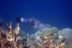 1746971908765-1263395940