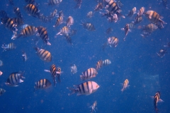 1746971909938-267980367