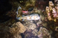 1746994888111-1936543842