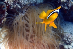 1748537050978-617928375