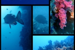 PhotoCollage_1747033494653