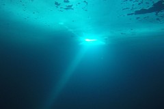 plongee-sous-glace-6