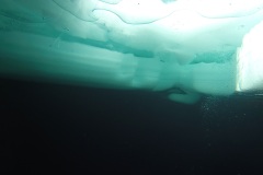 plongee-sous-glace-7