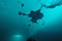 plongee-sous-glace-9