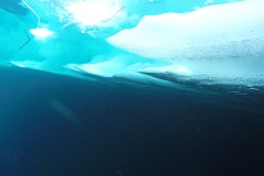 structure-glace-7