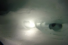structure-glace