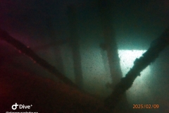 IMG-20250209-WA0007_GF
