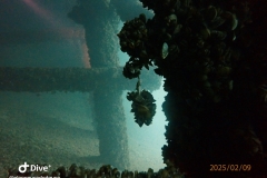 IMG-20250209-WA0012_GF
