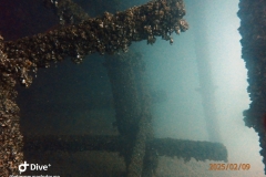 IMG-20250209-WA0015_GF