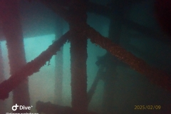 IMG-20250209-WA0028_GF