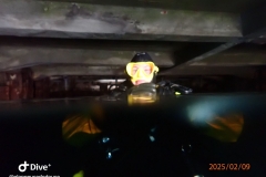 IMG-20250209-WA0029_GF