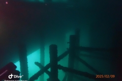 IMG-20250209-WA0030_GF