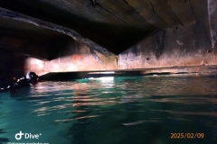 IMG-20250209-WA0032_GF