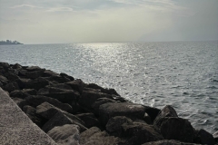 IMG-20250209-WA0056m_GF