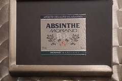 20231014_161100_InPixio
