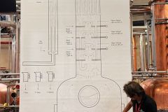 IMG-20231014-WA0095